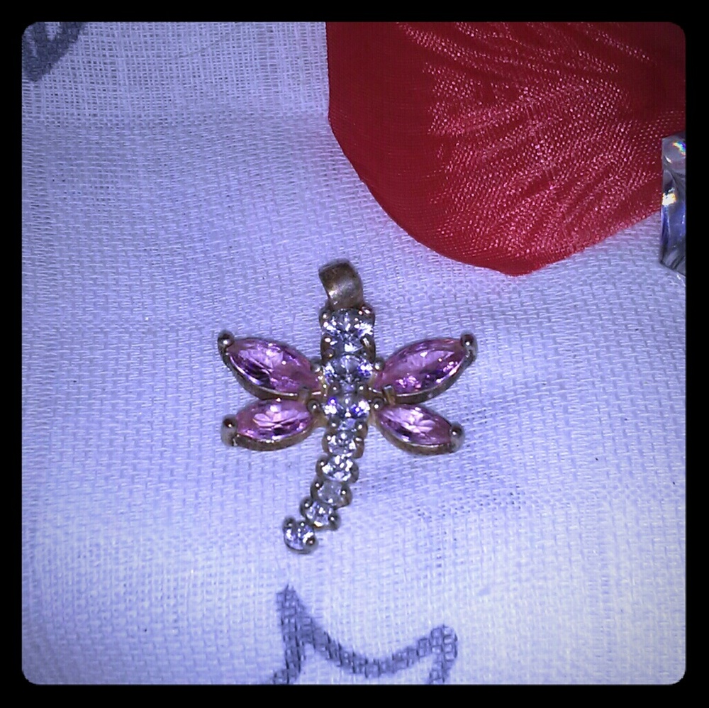 💥Stunning dragon fly charm